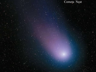Cometa  Neat 