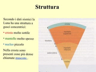 Struttura Secondo i dati sismici la Luna ha una struttura a gusci concentrici: crosta  molto sottile mantello  molto spesso nucleo  piccolo Nella crosta sono presenti zone più dense chiamate  mascons  .  