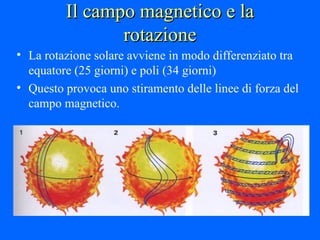 Il campo magnetico e la rotazione La rotazione solare avviene in modo differenziato tra equatore (25 giorni) e poli (34 giorni) Questo provoca uno stiramento delle linee di forza del campo magnetico. 