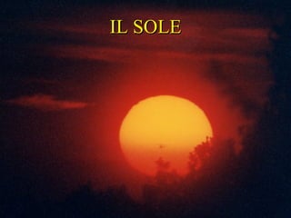 IL SOLE IL SOLE 