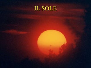 IL SOLE IL SOLE 