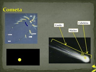 Cabeleira Cauda Núcleo 