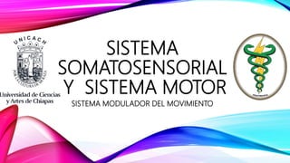 SISTEMA
SOMATOSENSORIAL
Y SISTEMA MOTOR
SISTEMA MODULADOR DEL MOVIMIENTO
 