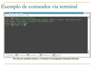 Exemplo de comandos via terminal 