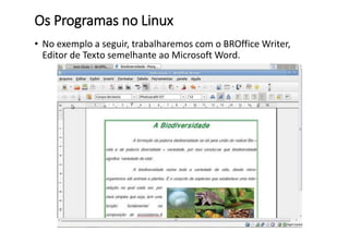 Os Programas no Linux
• No exemplo a seguir, trabalharemos com o BROffice Writer,
Editor de Texto semelhante ao Microsoft Word.

 
