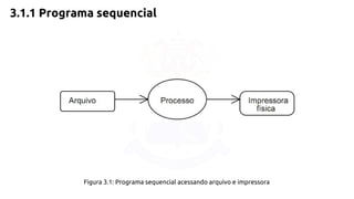 3.1.1 Programa sequencial 
Figura 3.1: Programa sequencial acessando arquivo e impressora 
 