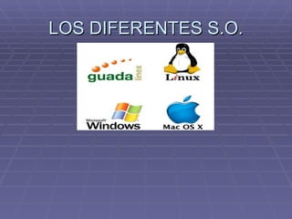 LOS DIFERENTES S.O. 