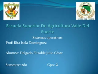 Sistemas operativos
Prof: Rita Isela Dominguez
Alumno: Delgado Elizalde Julio César
Semestre: 2do Gpo: 2
 