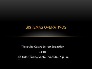 Tibaduiza Castro Jeison Sebastián
11-01
Instituto Técnico Santo Tomas De Aquino
SISTEMAS OPERATIVOS
 