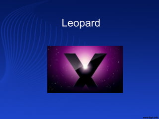 Leopard
 