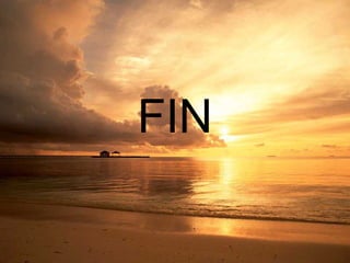 FIN 
