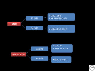 MACINTOSH
32 BITS
64 BITS
MAC os
 MAC os 8-9-X
MAC os 8-9-X
UNIX
32 BITS
LINUX 386
XP PROFESIONAL
64 BITS LINUX DE 64 BITS
 