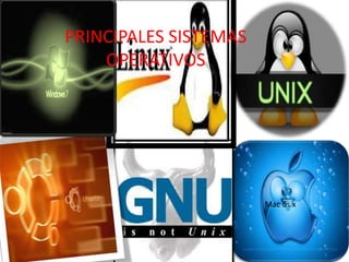 Sistemas operativos bdk | PPT