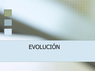 EVOLUCIÓN
 