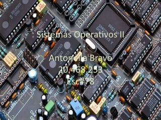 Sistemas Operativos II

Antonella Bravo
20.468.253
Esc#78

 