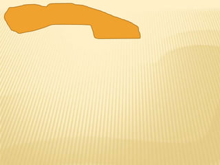 Sistemas operativos ,virus