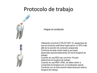 Protocolo de trabajo
Irrigue el conducto
Utilizando una lima C-PILOT ISO 10, asegúrese de
que el conducto esté libre hasta aprox un 30% más
allá de la sección de conducto preparada.
Continúe de este modo hasta q se hayan
alcanzado aproximadamente 2/3 de la longitud de
trabajo.
Cuando se usa R25 use una lima 10 para
determinar la longitud de trabajo.
Cuando se usa R40 o R50, se debe volver a
comprobar la longitud con un localizador apical.
Continúe con el instrumento hasta alcanzar toda la
longitud de trabajo.
 