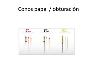 Conos papel / obturación
 