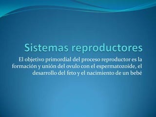 Sistemas reproductores El objetivo primordial del proceso reproductor es la formación y unión del ovulo con el espermatozoide, el desarrollo del feto y el nacimiento de un bebé 