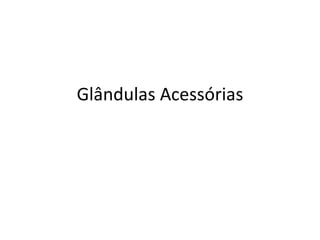 Glândulas Acessórias
 