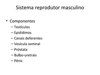 Sistema reprodutor masculino

• Componentes
  – Testículos
  – Epididimos
  – Canais deferentes
  – Vesícula seminal
  – Próstata
  – Bulbo-uretrais
  – Pênis
 