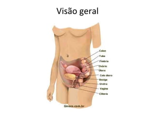 Visão geral
 