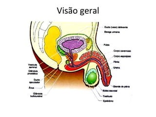 Visão geral
 