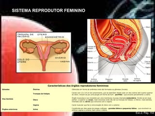 SISTEMA REPRODUTOR FEMININO
Características dos órgãos reprodutores femininos
Gónadas Óvários Glândulas em forma de amêndoa onde são formados os gâmetas (óvulos).
Vias Genitais
Trompas de Falópio
Canais com 12 a 14 cm de comprimento, que se estendem desde cada um dos ovários até à parte superior
do útero. Iniciam-se por uma porção em forma de funil - pavilhão - que envolve parcialmente o ovário.
Útero
Órgão musculoso e oco revestido por uma membrana mucosa chamada endométrio. Divide-se em duas
partes: a superior ou corpo, mais volumosa onde vão dar as trompas de Falópio; a inferior, mais estreita,
chamada colo ou cérvix que comunica com a vagina.
Vagina Canal muscular que faz a comunicação do útero com o exterior.
Órgãos exteriores Vulva
Constituída por dois pares de pregas cutâneas - grandes lábios e pequenos lábios - que envolvem os
orifícios vaginal e urinário, bem como o clitóris.
Exc.2, Pág. 153
 