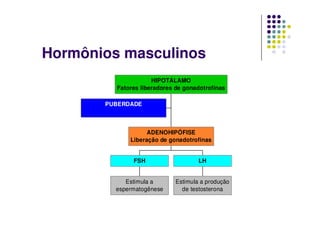 Hormônios masculinos
                     HIPOTÁLAMO
         Fatores liberadores de gonadotrofinas

       PUBERDADE



                   ADENOHIPÓFISE
             Liberação de gonadotrofinas


              FSH                    LH


            Estimula a       Estimula a produção
         espermatogênese       de testosterona
 