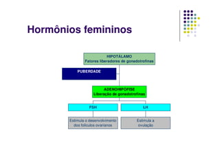 Hormônios femininos

                           HIPOTÁLAMO
               Fatores liberadores de gonadotrofinas

           PUBERDADE



                          ADENOHIPÓFISE
                    Liberação de gonadotrofinas


                 FSH                          LH


       Estimula o desenvolvimento         Estimula a
         dos folículos ovarianos           ovulação
 