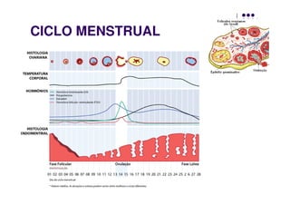 CICLO MENSTRUAL
 