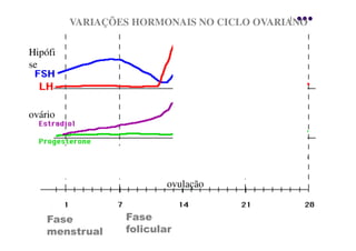 VARIAÇÕES HORMONAIS NO CICLO OVARIANO

Hipófi
se



ovário




                         ovulação


    Fase         Fase
    menstrual    folicular
 