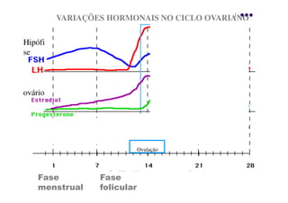 VARIAÇÕES HORMONAIS NO CICLO OVARIANO

Hipófi
se



ovário




                             Ovulação




    Fase         Fase
    menstrual    folicular
 