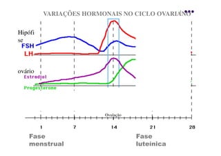 VARIAÇÕES HORMONAIS NO CICLO OVARIANO

Hipófi
se



ovário




                        Ovulação




    Fase                           Fase
    menstrual                      luteínica
 