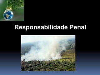 Responsabilidade Penal
 