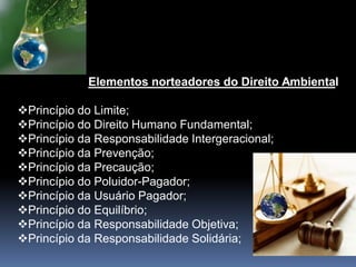 Elementos norteadores do Direito Ambiental
Princípio do Limite;
Princípio do Direito Humano Fundamental;
Princípio da Responsabilidade Intergeracional;
Princípio da Prevenção;
Princípio da Precaução;
Princípio do Poluidor-Pagador;
Princípio da Usuário Pagador;
Princípio do Equilíbrio;
Princípio da Responsabilidade Objetiva;
Princípio da Responsabilidade Solidária;
 