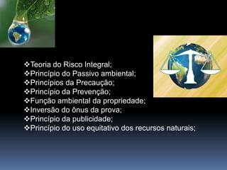Teoria do Risco Integral;
Princípio do Passivo ambiental;
Princípios da Precaução;
Princípio da Prevenção;
Função ambiental da propriedade;
Inversão do ônus da prova;
Princípio da publicidade;
Princípio do uso equitativo dos recursos naturais;
 