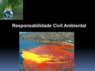 Responsabilidade Civil Ambiental
 