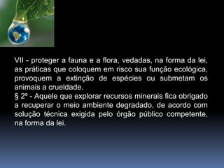 VII - proteger a fauna e a flora, vedadas, na forma da lei,
as práticas que coloquem em risco sua função ecológica,
provoquem a extinção de espécies ou submetam os
animais a crueldade.
§ 2º - Aquele que explorar recursos minerais fica obrigado
a recuperar o meio ambiente degradado, de acordo com
solução técnica exigida pelo órgão público competente,
na forma da lei.
 