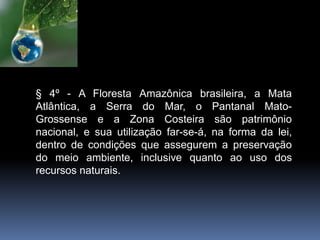 § 4º - A Floresta Amazônica brasileira, a Mata
Atlântica, a Serra do Mar, o Pantanal Mato-
Grossense e a Zona Costeira são patrimônio
nacional, e sua utilização far-se-á, na forma da lei,
dentro de condições que assegurem a preservação
do meio ambiente, inclusive quanto ao uso dos
recursos naturais.
 