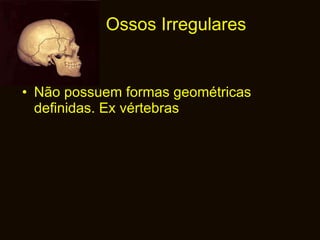 Ossos Irregulares Não possuem formas geométricas definidas. Ex vértebras 