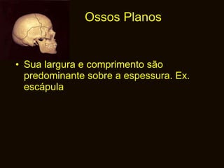 Ossos Planos Sua largura e comprimento são predominante sobre a espessura. Ex. escápula 