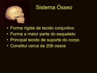 Sistema Ósseo  Forma rígida de tecido conjuntivo Forma a maior parte do esqueleto Principal tecido de suporte do corpo Constitui cerca de 206 ossos 