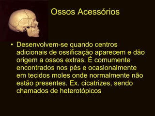 Ossos Acessórios Desenvolvem-se quando centros adicionais de ossificação aparecem e dão origem a ossos extras. É comumente encontrados nos pés e ocasionalmente em tecidos moles onde normalmente não estão presentes. Ex. cicatrizes, sendo chamados de heterotópicos 
