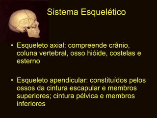 Sistema Esquelético Esqueleto axial: compreende crânio, coluna vertebral, osso hióide, costelas e esterno Esqueleto apendicular: constituídos pelos ossos da cintura escapular e membros superiores; cintura pélvica e membros inferiores 