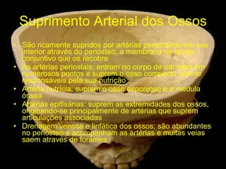 Suprimento Arterial dos Ossos São ricamente supridos por artérias penetrando em seu interior através do periósteo, a membrana de tecido conjuntivo que os recobre As artérias periostais: entram no corpo de um osso em numerosos pontos e suprem o osso compacto, sendo responsáveis pela sua nutrição Artéria nutrícia: suprem o osso esponjoso e a medula óssea Artérias epifisárias: suprem as extremidades dos ossos, originando-se principalmente de artérias que suprem articulações associadas  Drenagem venosa e linfática dos ossos: são abundantes no periósteo e acompanham as artérias e muitas veias saem através de forames 