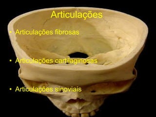 Articulações  Articulações fibrosas Articulações cartilaginosas Articulações sinoviais 