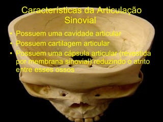 Características da Articulação Sinovial  Possuem uma cavidade articular Possuem cartilagem articular Possuem uma cápsula articular (revestida por membrana sinovial) reduzindo o atrito entre esses ossos 
