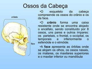 Ossos da Cabeça
•O esqueleto da cabeça
compreende os ossos do crânio e os
da face.
•O crânio forma uma caixa
resistente onde se encontra alojado
o encéfalo, sendo constituído por 8
ossos, uns pares e outros ímpares:
os parietais, o frontal, o occipital, os
temporais e inferiormente o
esfenóide e o etmóide.
•A face apresenta as órbitas onde
se alojam os olhos, os ossos nasais,
os malares, os maxilares superiores
e o maxilar inferior ou mandíbula
crânio
face
 