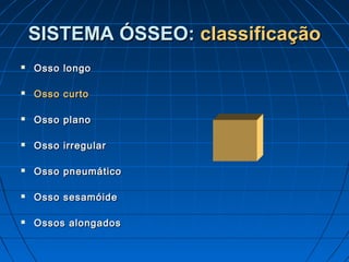 SISTEMA ÓSSEO: classificação
   Osso longo

   Osso curto

   Osso plano

   Osso irregular

   Osso pneumático

   Osso sesamóide

   Ossos alongados
 